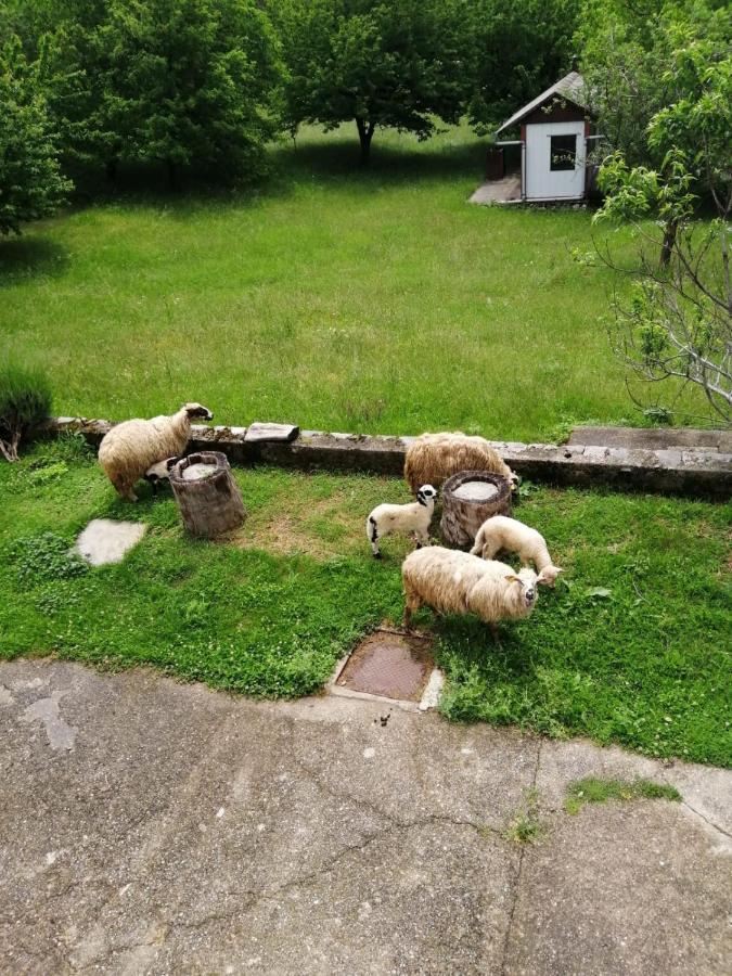 Apartman Duba Zengg Kültér fotó